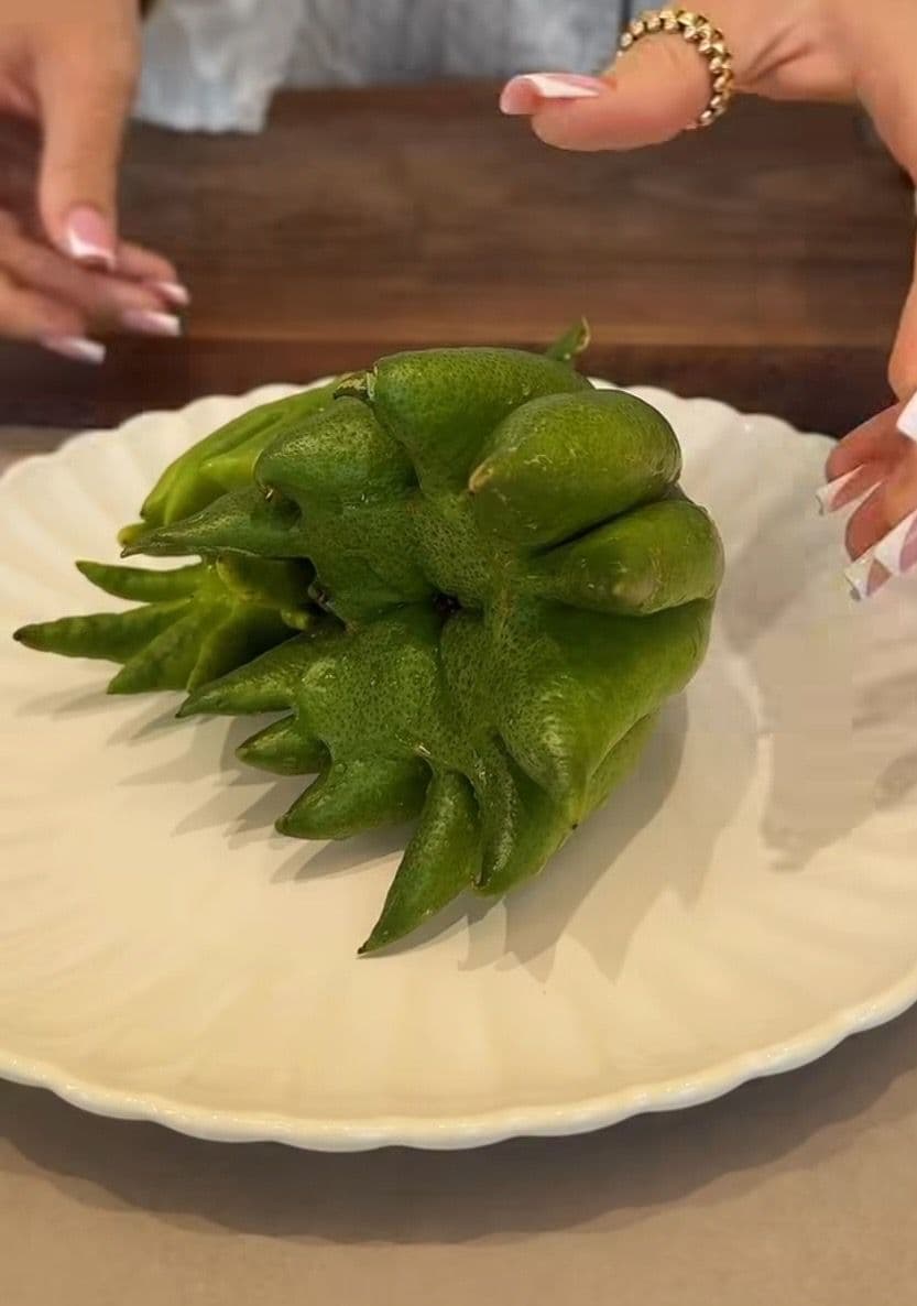 Budina ruka citrus: Egzotično voće koje izgleda kao ljudska šaka